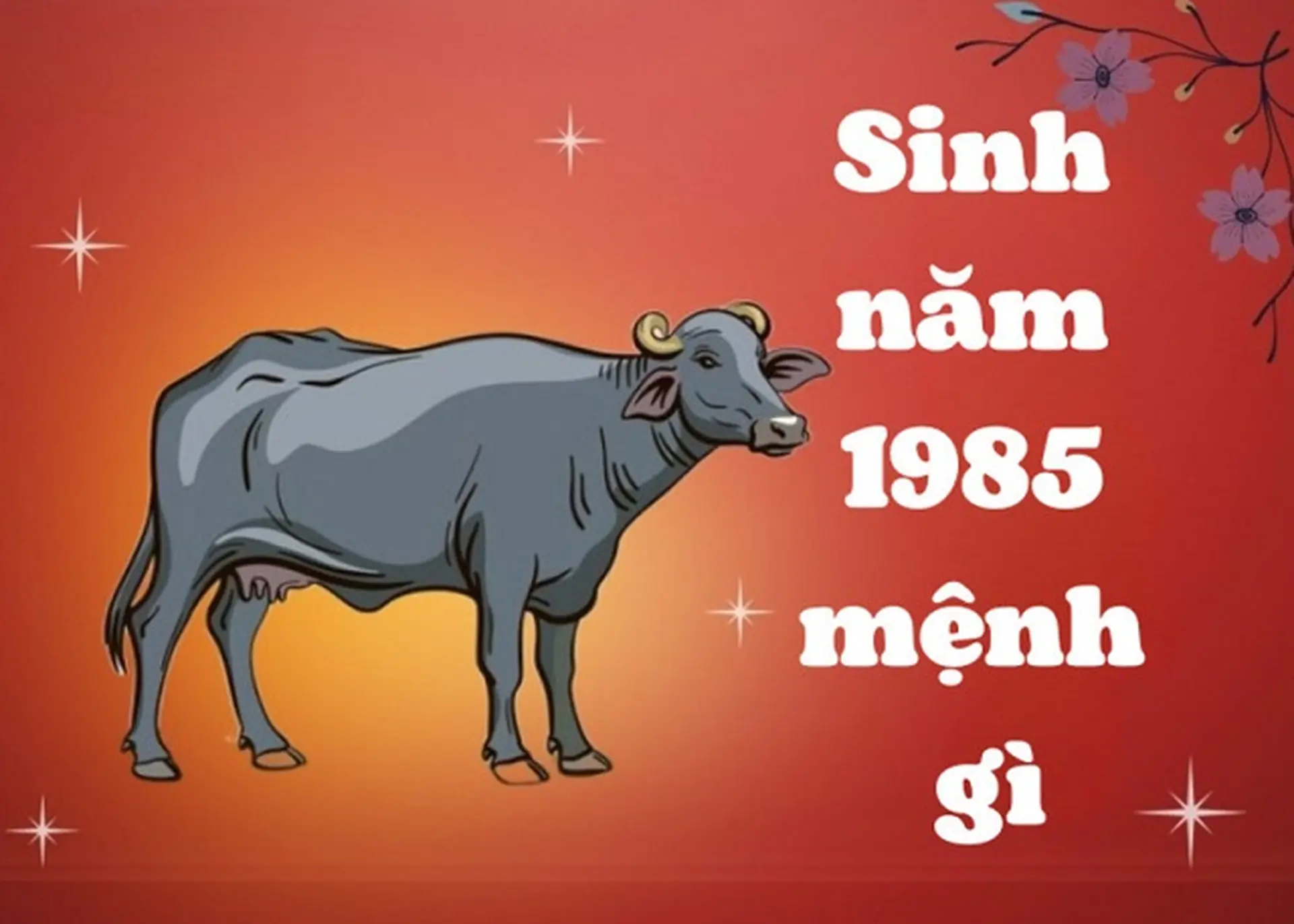 1985 tuổi con gì - Tính cách người sinh năm 1985 1985 tuổi con gì - Tính cách người sinh năm 1985