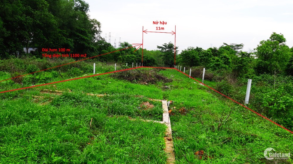 Bán đất Côn Đảo - Yếu tố ảnh hưởng đến giá đất