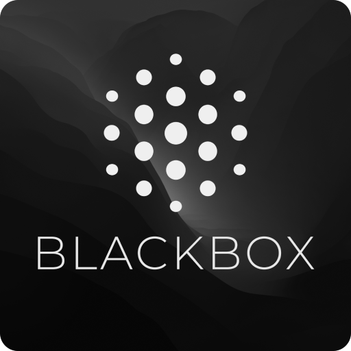 blackbox ai