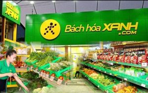 Hệ thống Bách Hóa Xanh: Điểm mua sắm thực phẩm tươi sống đáng tin cậy