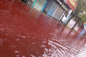 Hiện tượng thiên nhiên kỳ thú: Giải mã nguyên nhân gây ra mưa đỏ