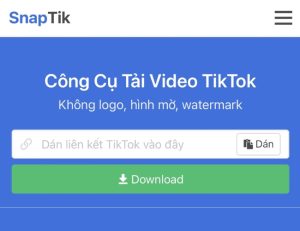 Các cách tải video TikTok không logo cực nhanh và giữ nguyên chất lượng