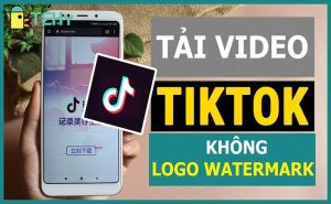 Các cách tải video TikTok không logo cực nhanh và giữ nguyên chất lượng