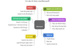 Tập đoàn Microsoft: Lịch sử phát triển và các sản phẩm công nghệ cốt lõi