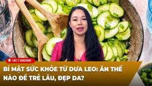 Tìm hiểu thêm về Dua Leo TR: Các hoạt động và nội dung video nổi bật