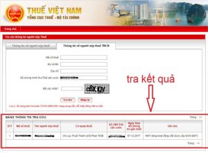 Hướng dẫn tra mã số thuế cá nhân online bằng thẻ căn cước công dân